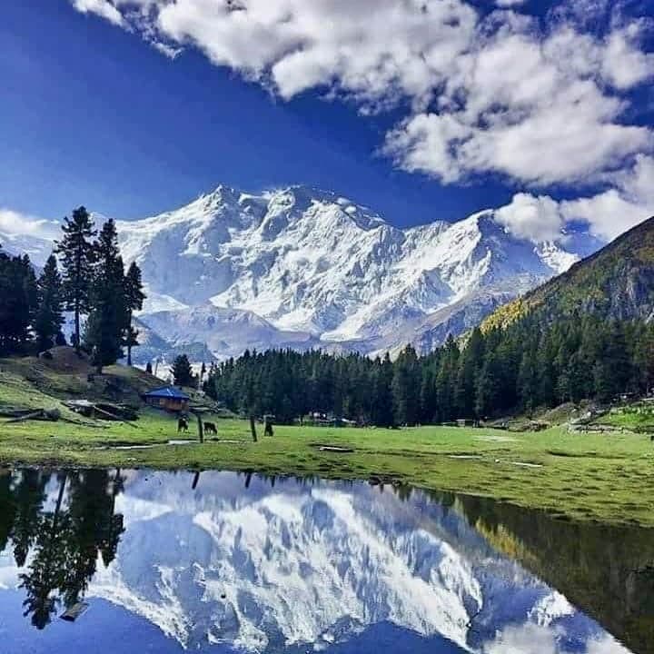 Nanga Parbat Base Camp Trek