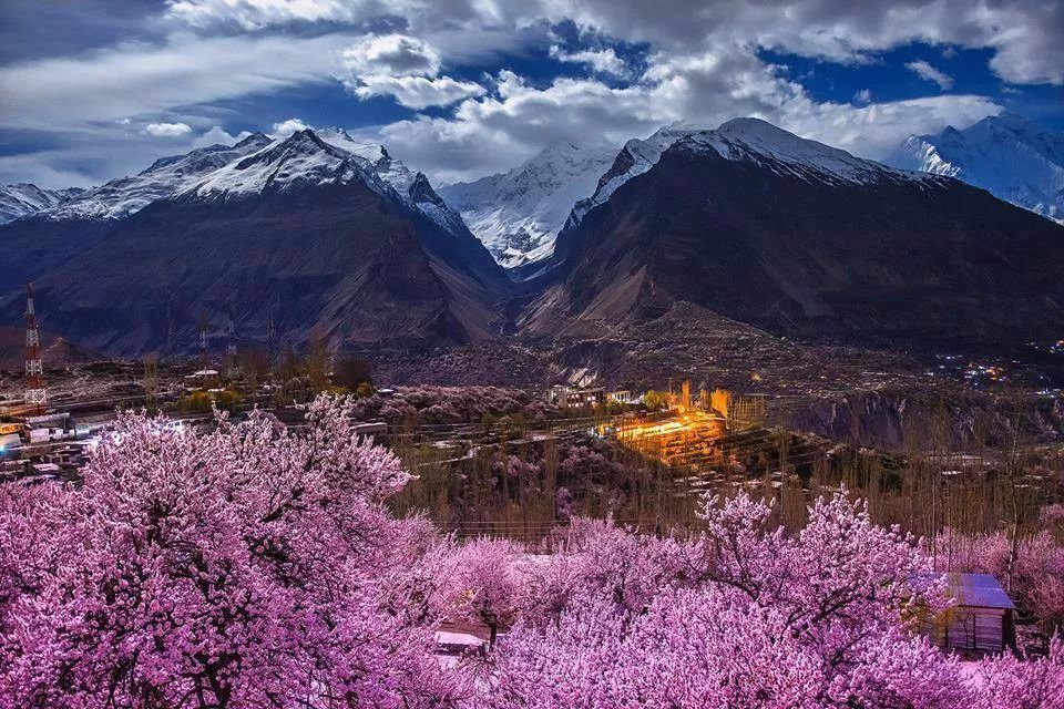 Northern Blossom Tour